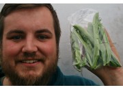 BEANS FLAT  250 Gram Bag